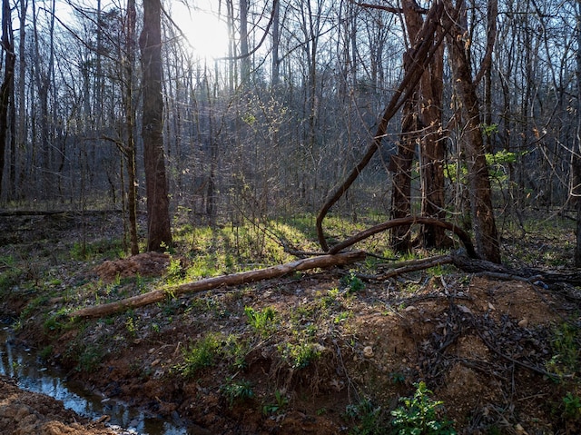 0 Dog Creek Rd, Primm Springs, TN 38476