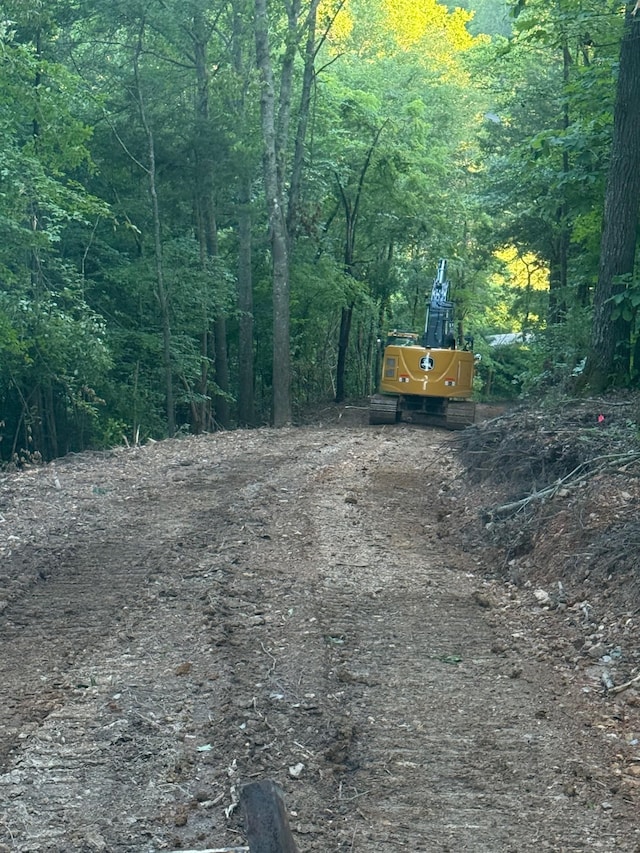 0 Dog Creek Rd, Primm Springs, TN 38476