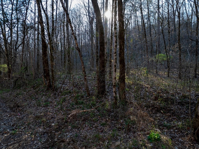 0 Dog Creek Rd, Primm Springs, TN 38476