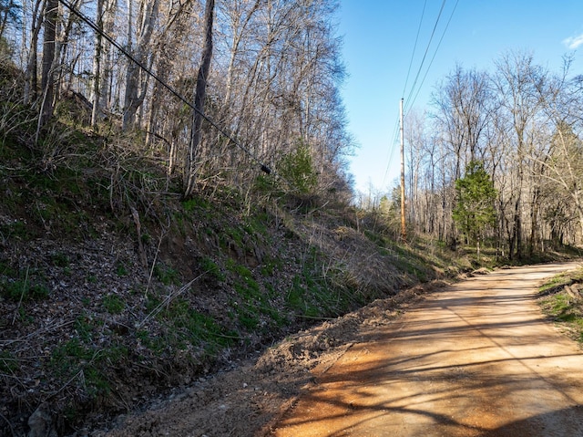 0 Dog Creek Rd, Primm Springs, TN 38476