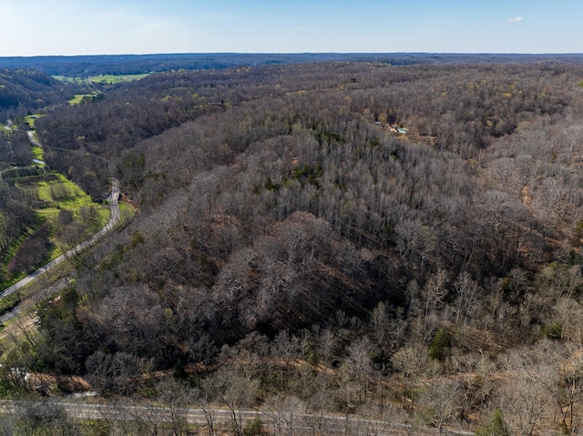 0 Dog Creek Rd, Primm Springs, TN 38476