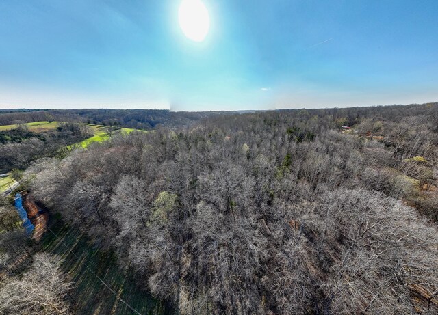 0 Dog Creek Rd, Primm Springs, TN 38476