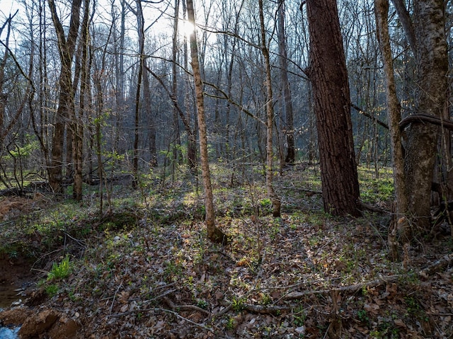 0 Dog Creek Rd, Primm Springs, TN 38476
