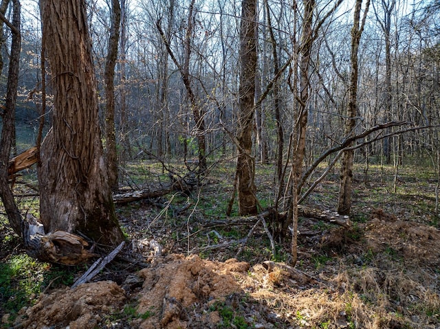 0 Dog Creek Rd, Primm Springs, TN 38476