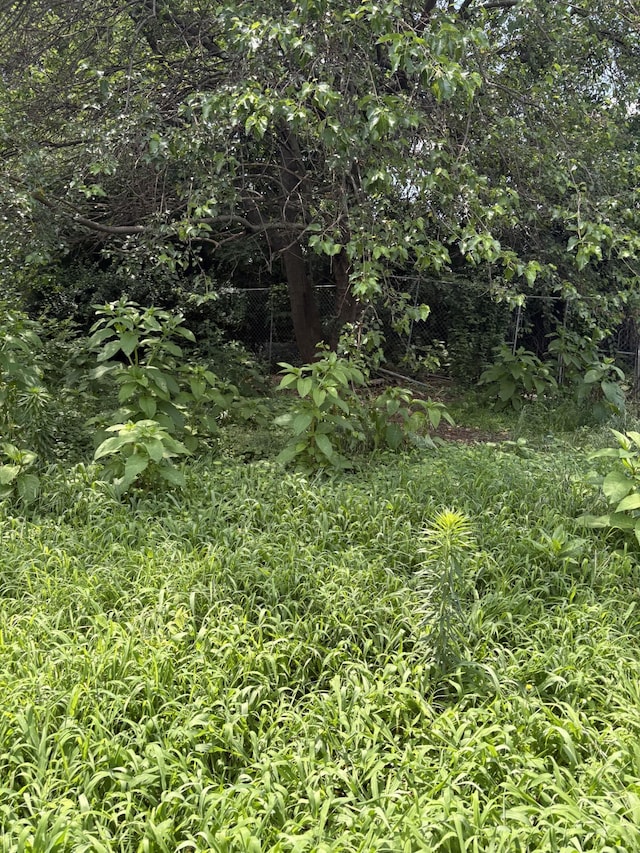 1815 7th Ave N, Nashville, TN 37208 - view of undeveloped land