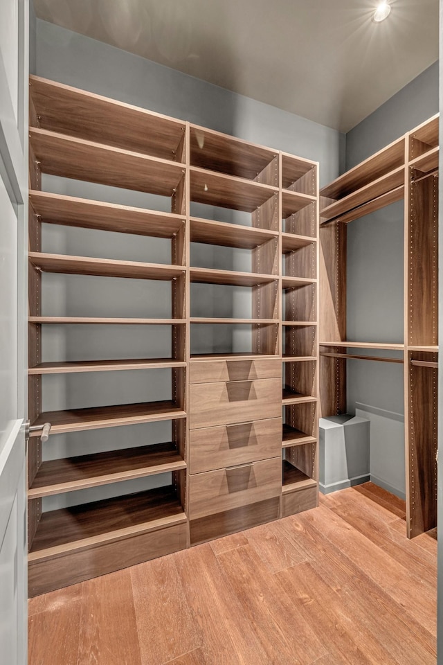 8005 Backwoods Dr, College Grove, TN 37046 - walk in closet featuring wood finished floors