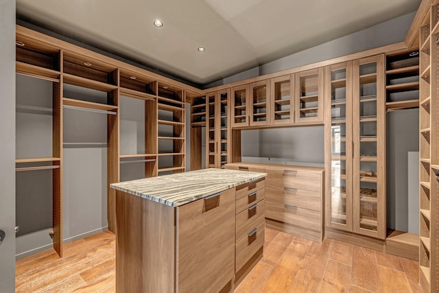 8005 Backwoods Dr, College Grove, TN 37046 - walk in closet with light wood-type flooring