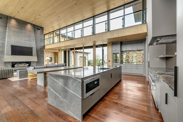 8005 Backwoods Dr, College Grove, TN 37046 - kitchen featuring stainless steel appliances, a high ceiling, modern cabinets, range hood, and dark wood-style floors