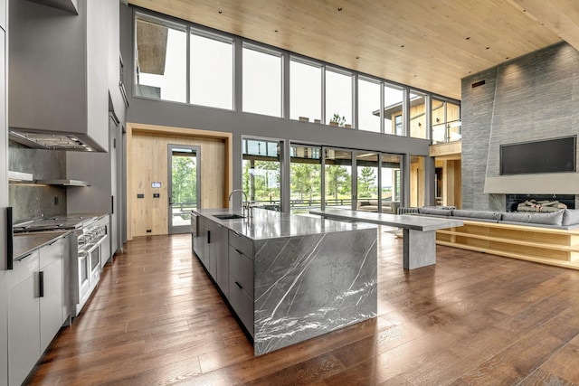 8005 Backwoods Dr, College Grove, TN 37046 - kitchen with modern cabinets, a high ceiling, dark wood-style floors, open floor plan, and a kitchen island with sink