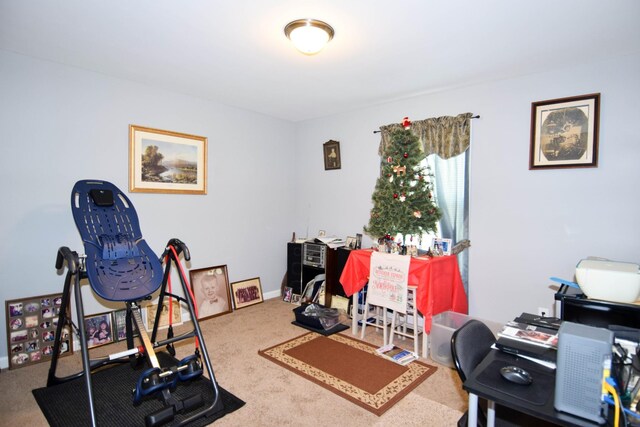 104 Jollie Ln, Westmoreland, TN 37186 - photo 24