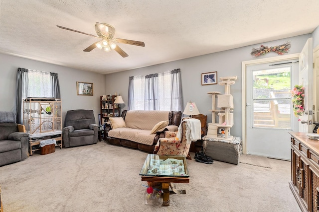 183 Borden St, Gainesboro, TN 38562 - photo 6