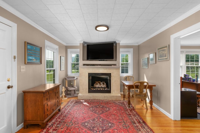 3502 Kellys Ferry Rd, Chattanooga, TN 37419 - living area featuring a high end fireplace, light wood-style flooring, plenty of natural light, and ornamental molding