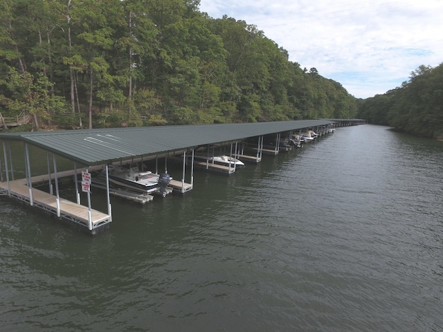 55B Oasis Ln, Savannah, TN 38372 - dock area with a view of trees and a water view