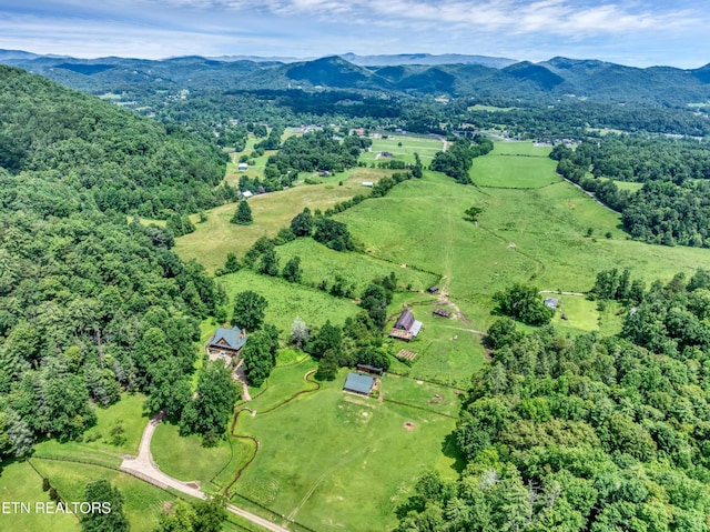 584 Bethel Church Rd, Townsend, TN 37882 - photo 41