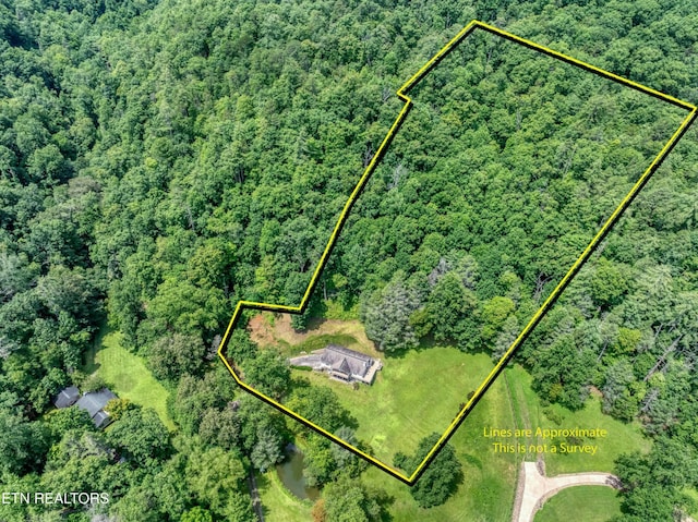 584 Bethel Church Rd, Townsend, TN 37882 - photo 44