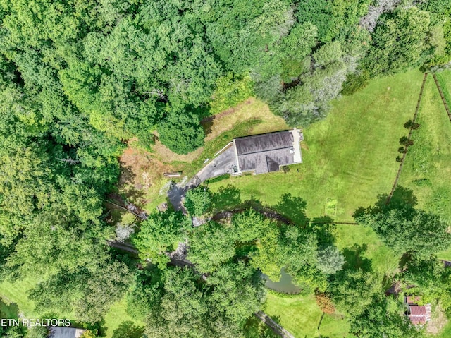 584 Bethel Church Rd, Townsend, TN 37882 - photo 43