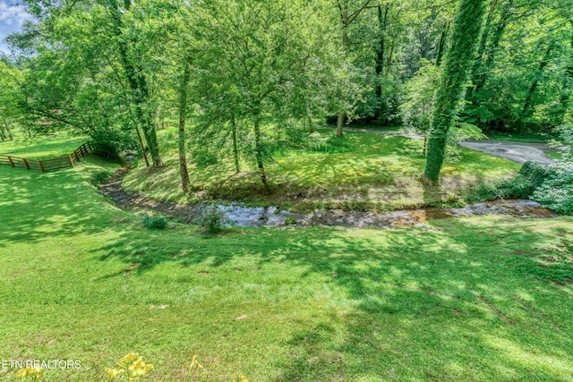 584 Bethel Church Rd, Townsend, TN 37882 - photo 3