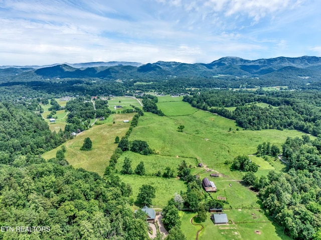 584 Bethel Church Rd, Townsend, TN 37882 - photo 40