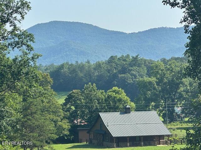584 Bethel Church Rd, Townsend, TN 37882 - photo 38