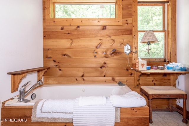 311 Domar Dr, Townsend, TN 37882 - full bath with a bath and plenty of natural light