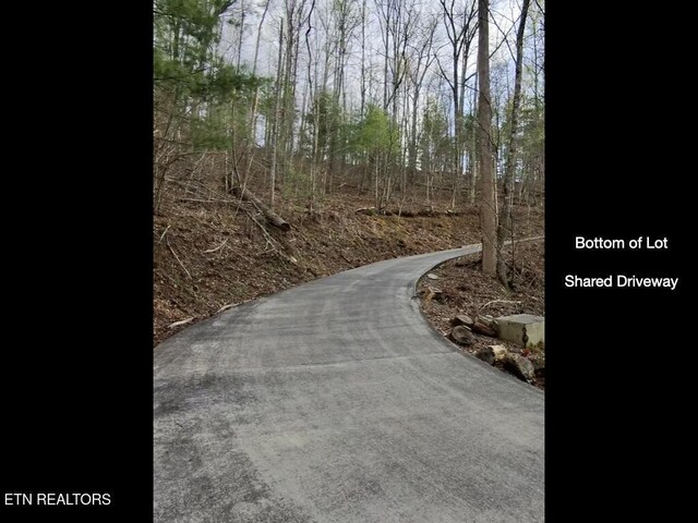 815 Tanasi Trl, Townsend, TN 37882 - photo 6