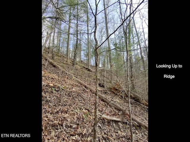 815 Tanasi Trl, Townsend, TN 37882 - photo 7