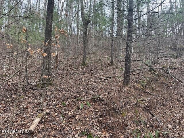 815 Tanasi Trl, Townsend, TN 37882 - photo 1