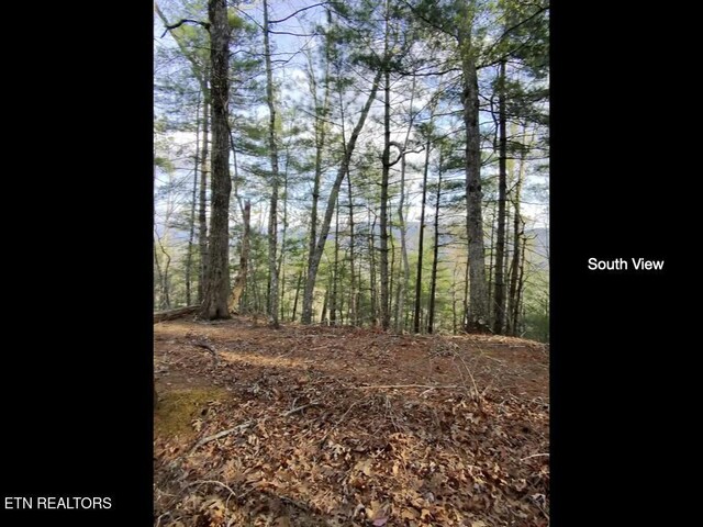 815 Tanasi Trl, Townsend, TN 37882 - photo 5