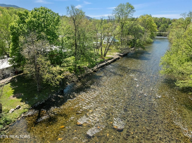 7539 W Old Highway 73, Townsend, TN 37882 - water view