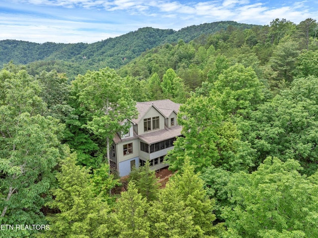 670 Hawk View Dr, Townsend, TN 37882 - photo 3