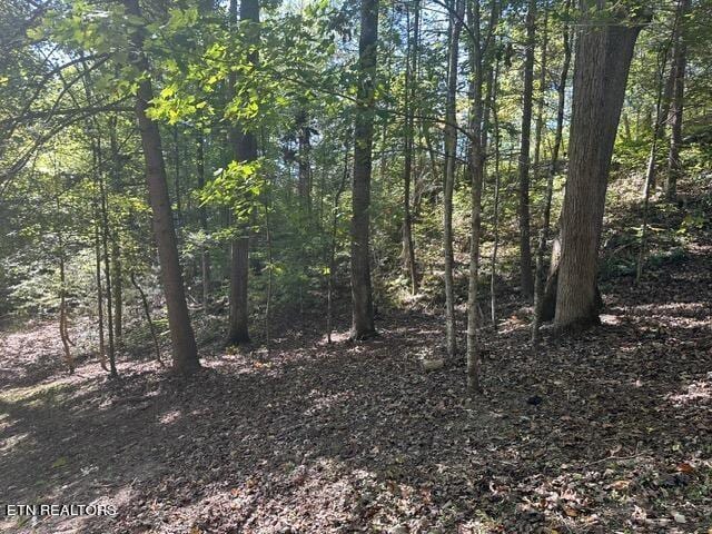 230 Penni Ln, Townsend, TN 37882 - photo 30