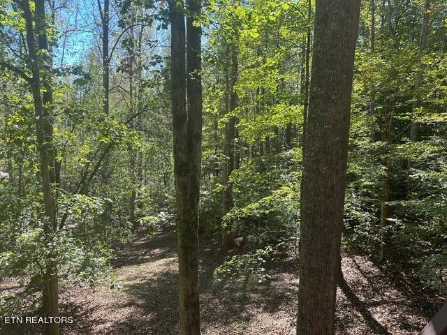 230 Penni Ln, Townsend, TN 37882 - photo 22
