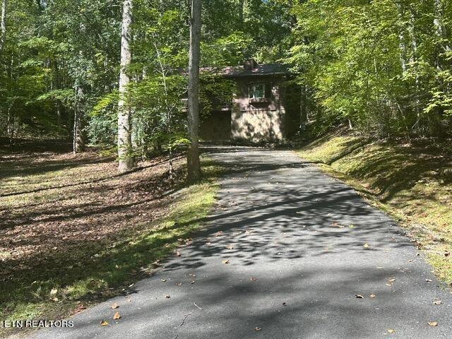 230 Penni Ln, Townsend, TN 37882 - photo 4