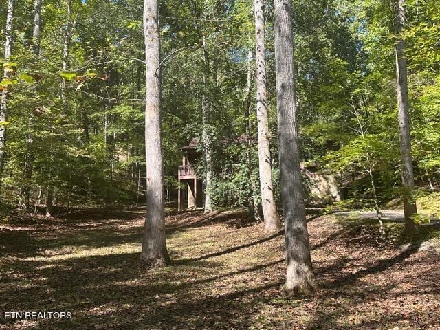 230 Penni Ln, Townsend, TN 37882 - photo 23