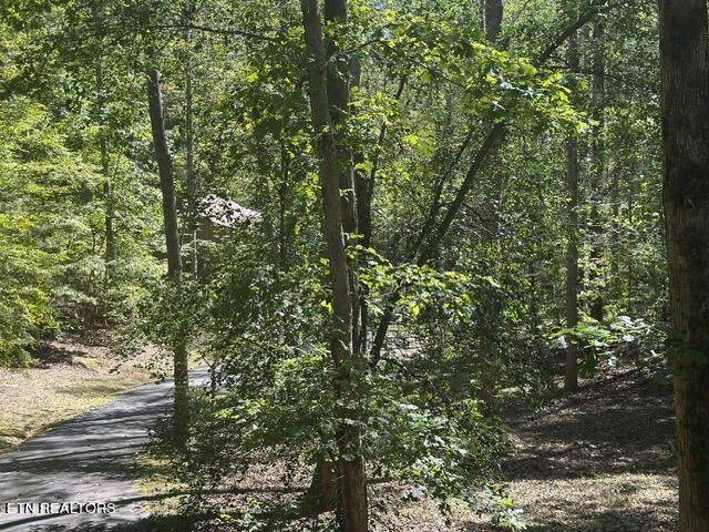 230 Penni Ln, Townsend, TN 37882 - photo 25