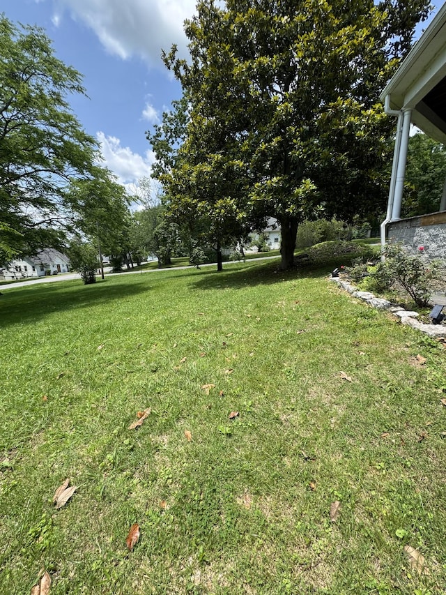 403 Vine St S, Wartrace, TN 37183 - photo 6