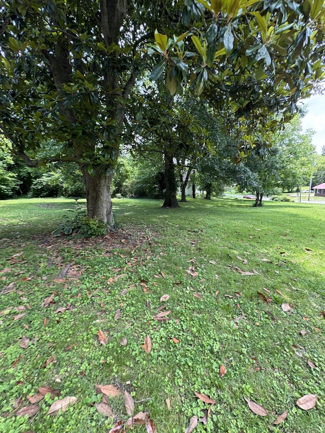 403 Vine St S, Wartrace, TN 37183 - photo 10