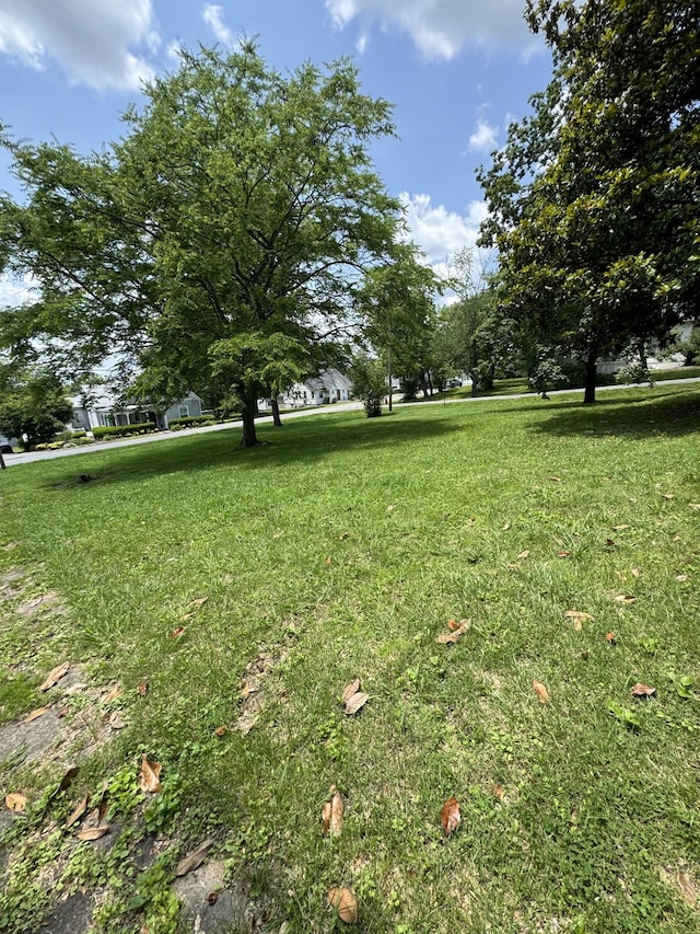 403 Vine St S, Wartrace, TN 37183 - photo 7