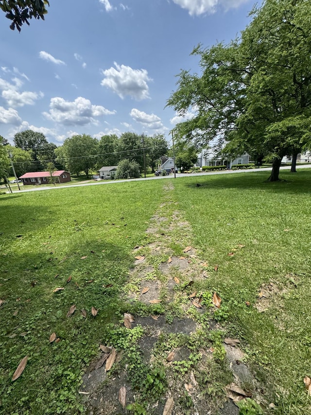 403 Vine St S, Wartrace, TN 37183 - photo 8