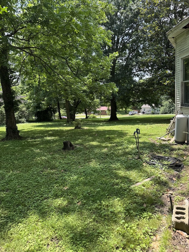 403 Vine St S, Wartrace, TN 37183 - photo 23