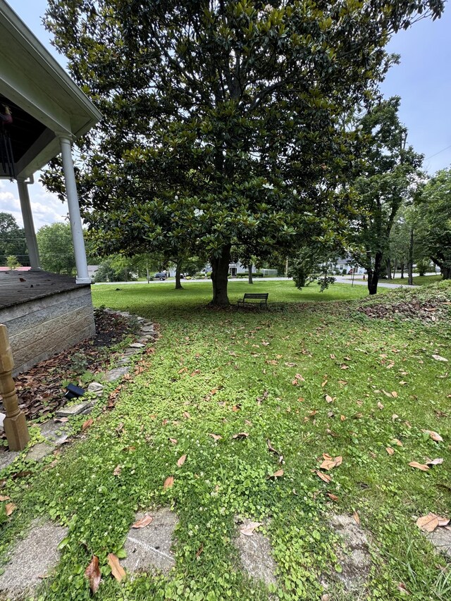 403 Vine St S, Wartrace, TN 37183 - photo 20