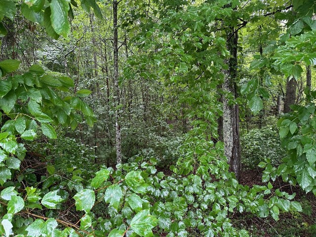 7 Saw Mill Rd, Palmer, TN 37365 - photo 6