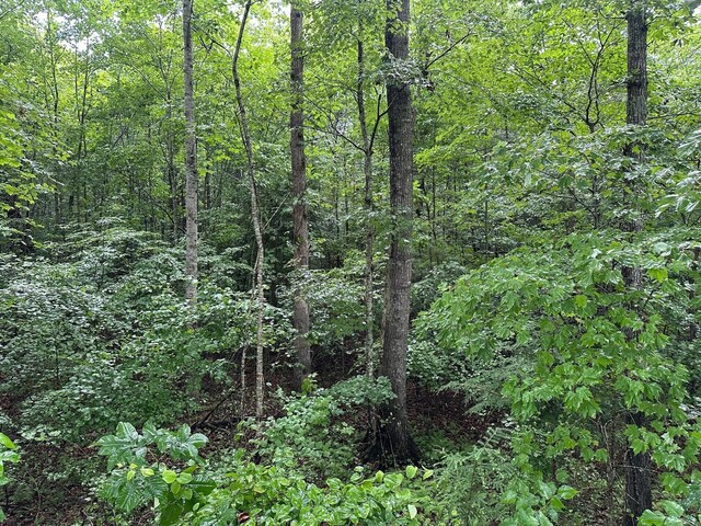 7 Saw Mill Rd, Palmer, TN 37365 - photo 10