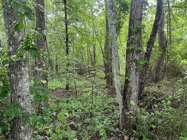 7 Saw Mill Rd, Palmer, TN 37365 - photo 7