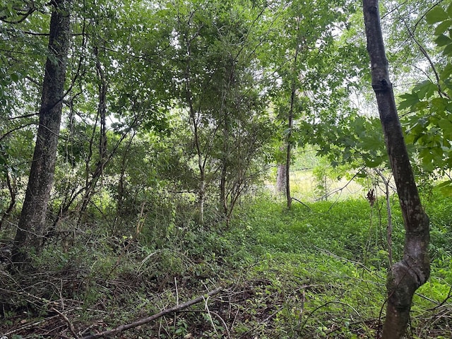 7 Saw Mill Rd, Palmer, TN 37365 - photo 1