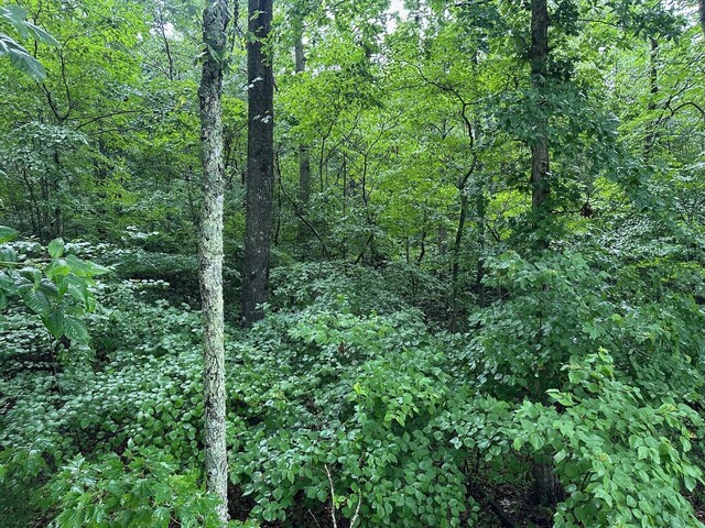 7 Saw Mill Rd, Palmer, TN 37365 - photo 9