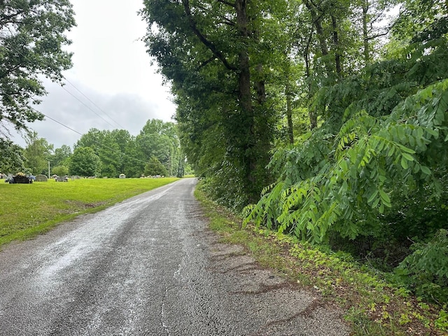 7 Saw Mill Rd, Palmer, TN 37365 - photo 12