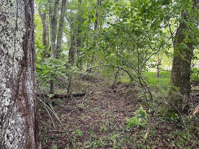 7 Saw Mill Rd, Palmer, TN 37365 - photo 2