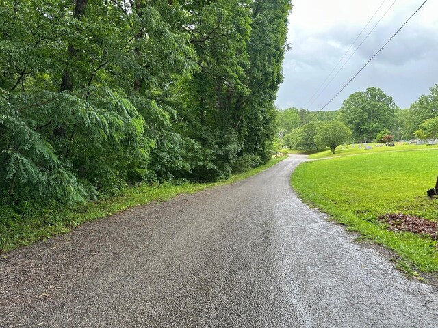 7 Saw Mill Rd, Palmer, TN 37365 - photo 11