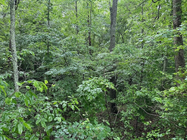 7 Saw Mill Rd, Palmer, TN 37365 - photo 5
